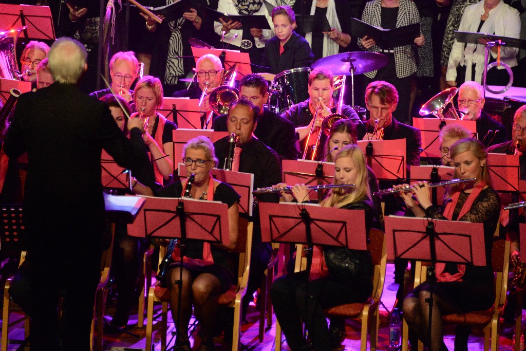 ../Images/Jubileumconcert 100 jaar Harpe Davids 112.jpg